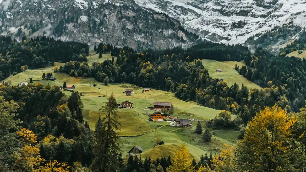 A scenic view of a lush green Swiss valley featuring small wooden chalets scattered across rolling hills. In the background, towering snow-capped mountains rise above a dense forest of evergreen trees.