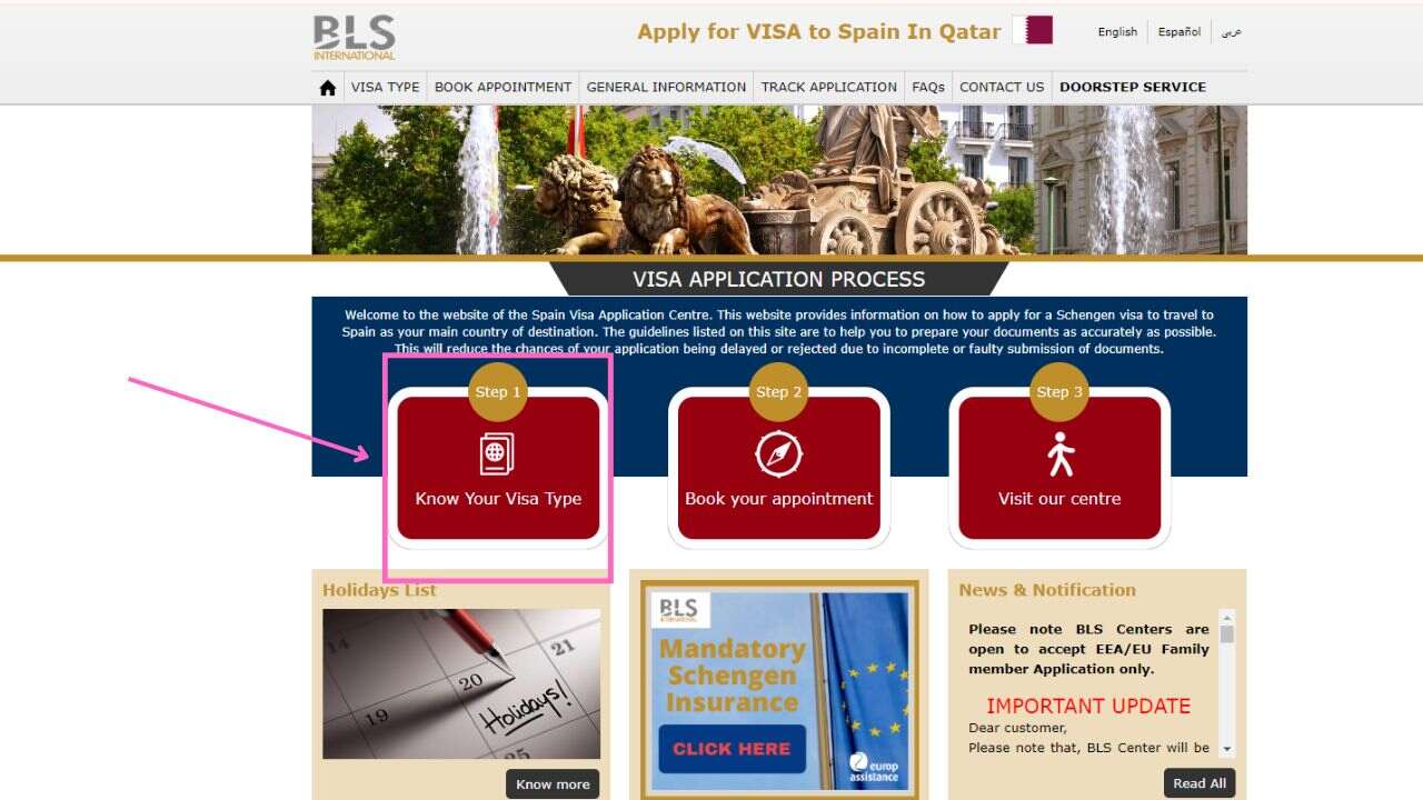 Determine The Visa Type
