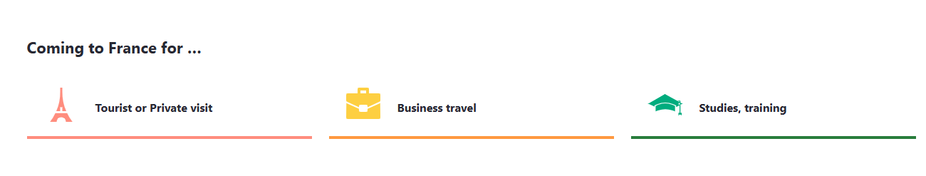 Select the French visa type