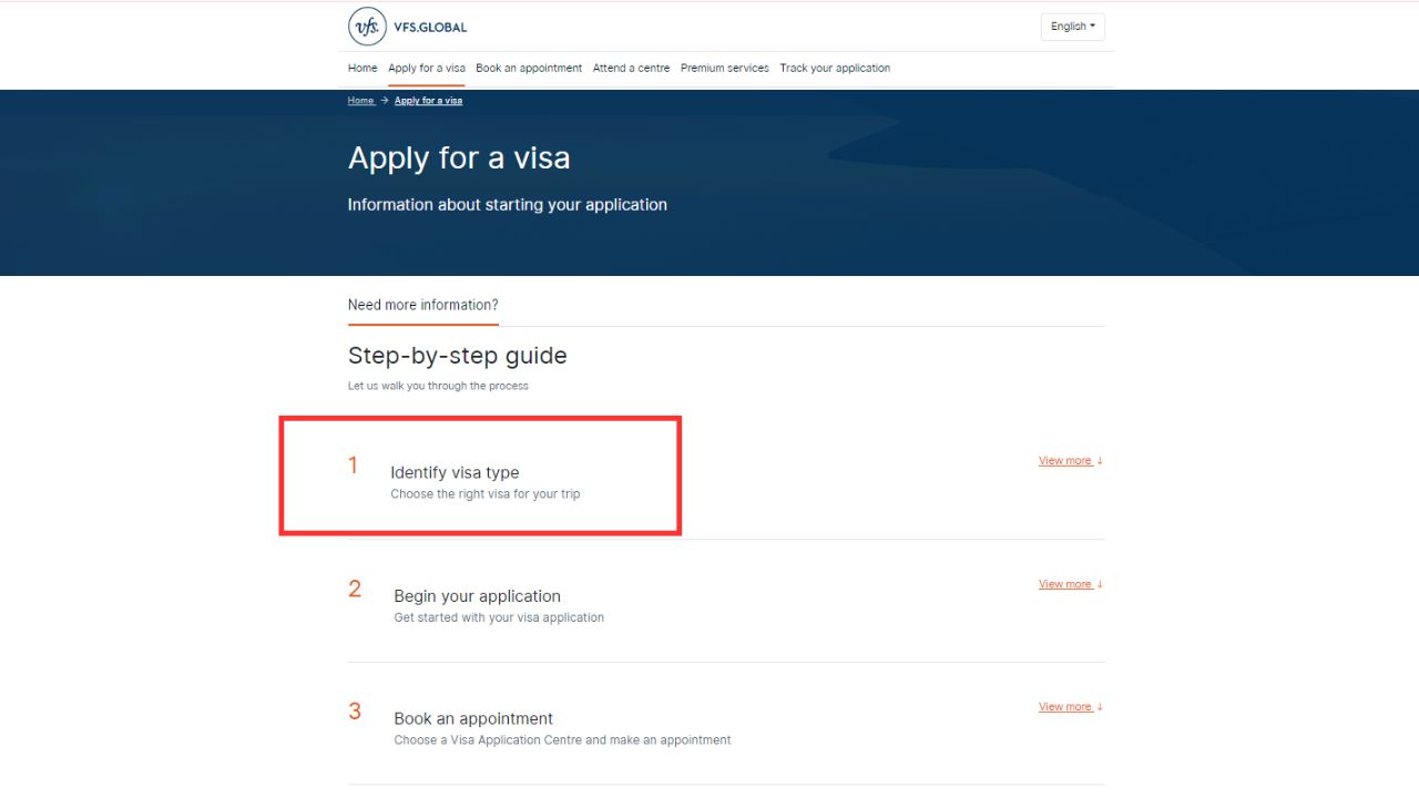 identify for visa type VFS