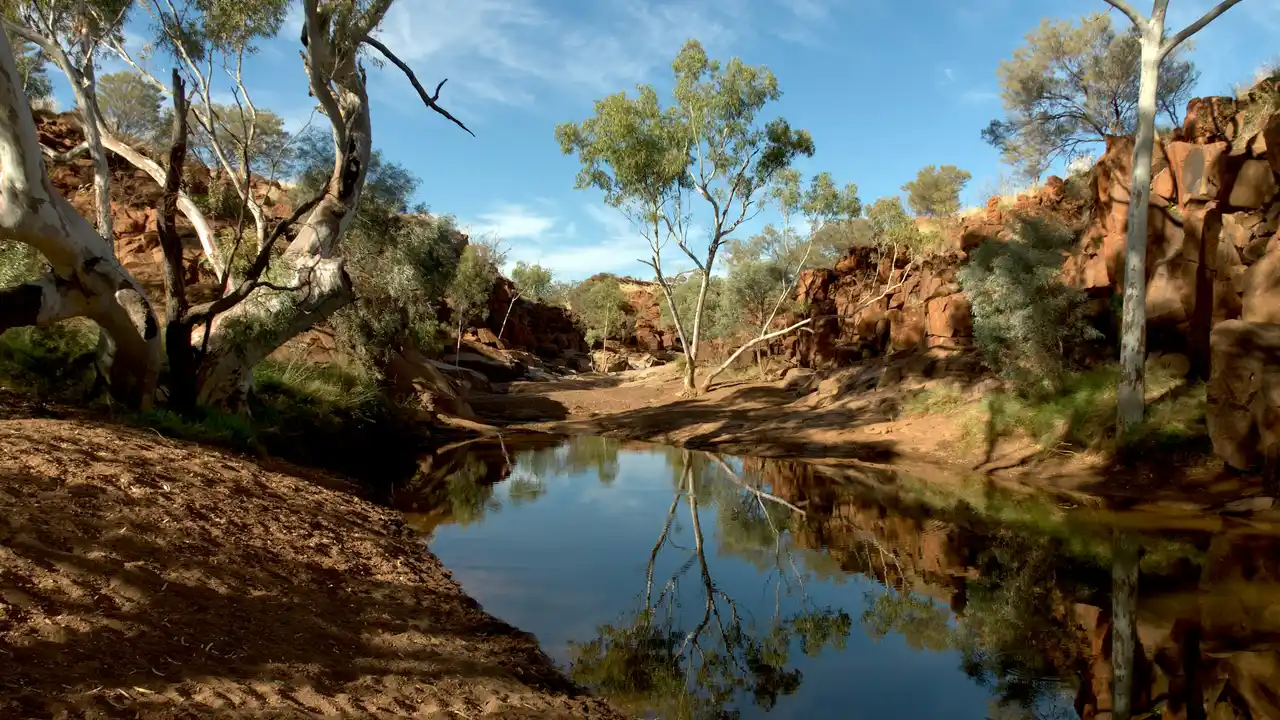 Scenic Australian outback landscape featuring a tranquil waterhole surrounded by red rock formations, eucalyptus trees, and clear blue sky, showcasing natural beauty ideal for tourism and travel in Australia.