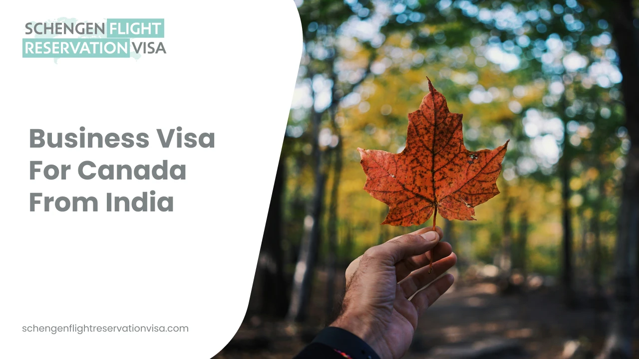 Business visa for Canada from India banner showing a hand holding a red maple leaf in a forest, symbolizing Canadian business travel and visa services.