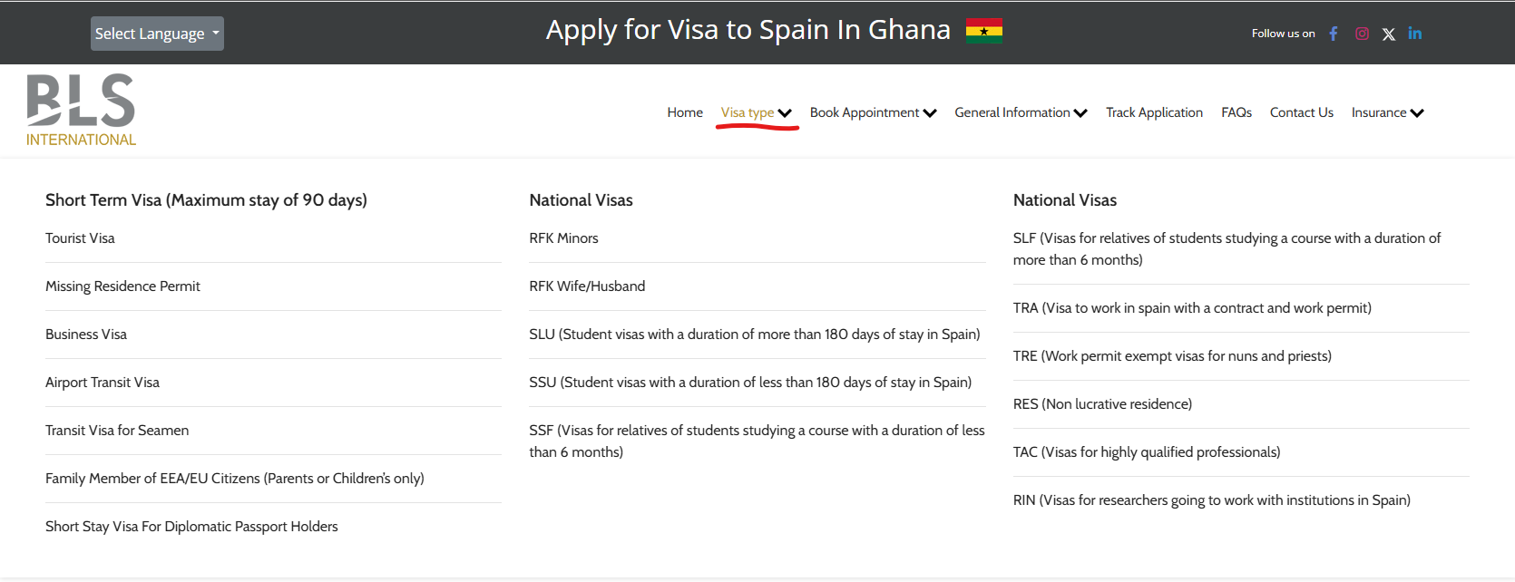 Identify the Spanish visa type