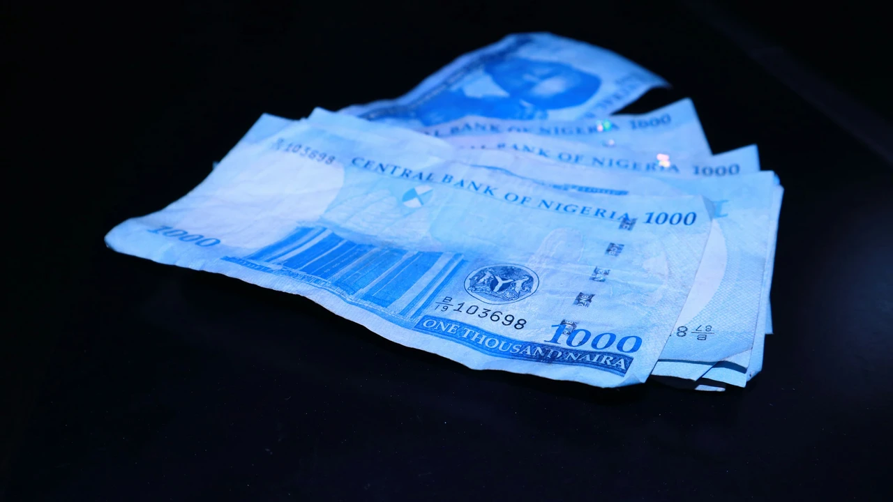The background shows an up-close, top-down view of several 1,000 Nigerian Naira banknotes spread across a surface. The notes are the vivid blue redesigned version, featuring the portraits of Alhaji Aliyu Mai-Bornu and Dr. Clement Isong. A gold holographic security patch and the