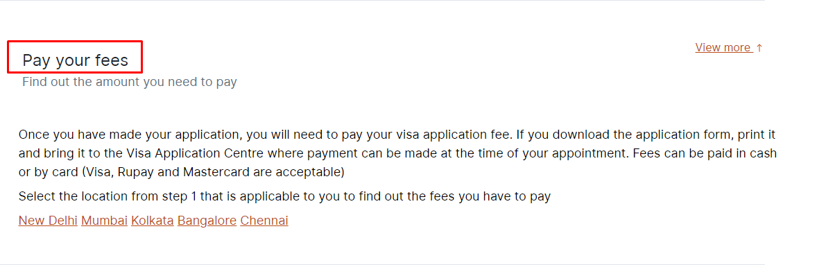 pay the visa fee