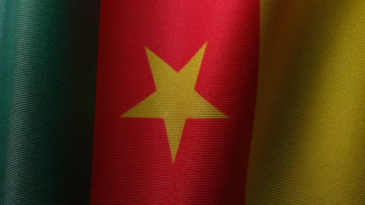 cameroon flag