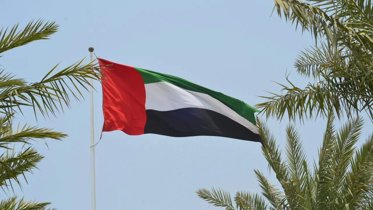 Dubai Flag