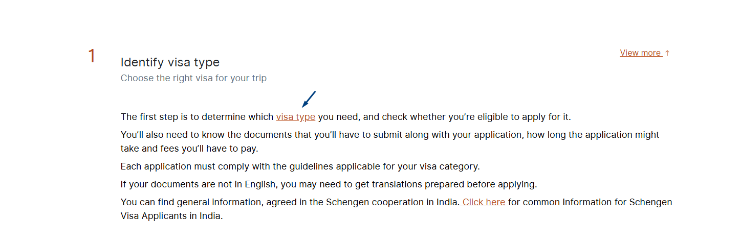 Identify Visa Types