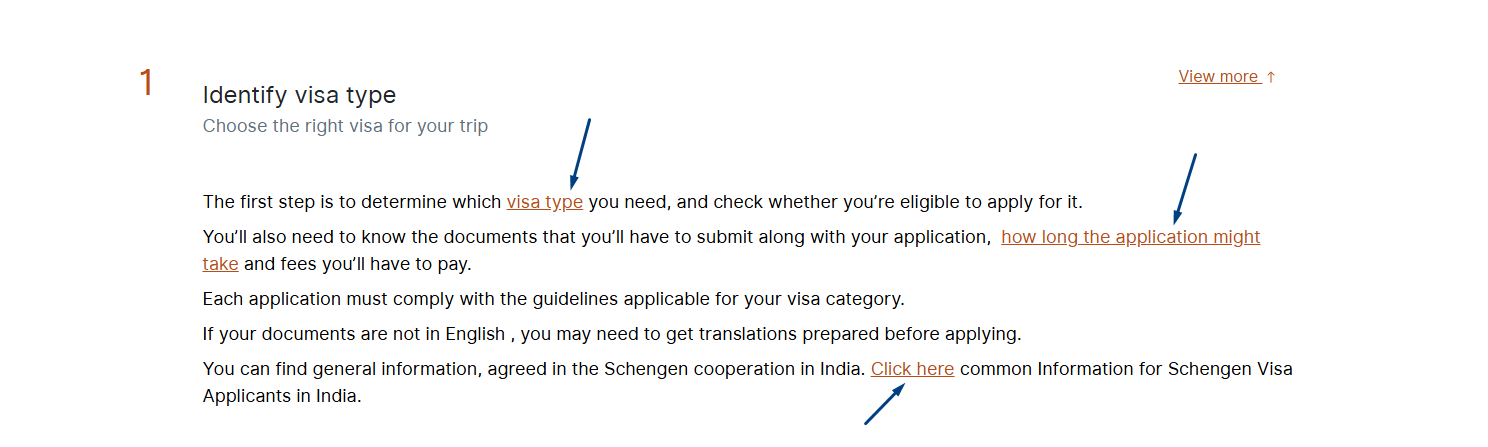Identify Visa Types