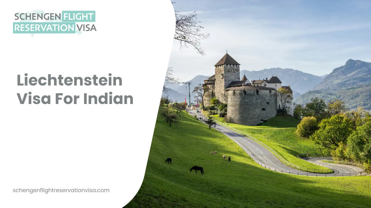 A picturesque landscape view of Vaduz, Liechtenstein, featuring the historic Vaduz Castle perched on a steep, lush green hillside. Below the castle, the valley floor is filled with small buildings and trees under a bright blue sky with soft white clouds. On the left side of the image, a blue graphic overlay displays the text