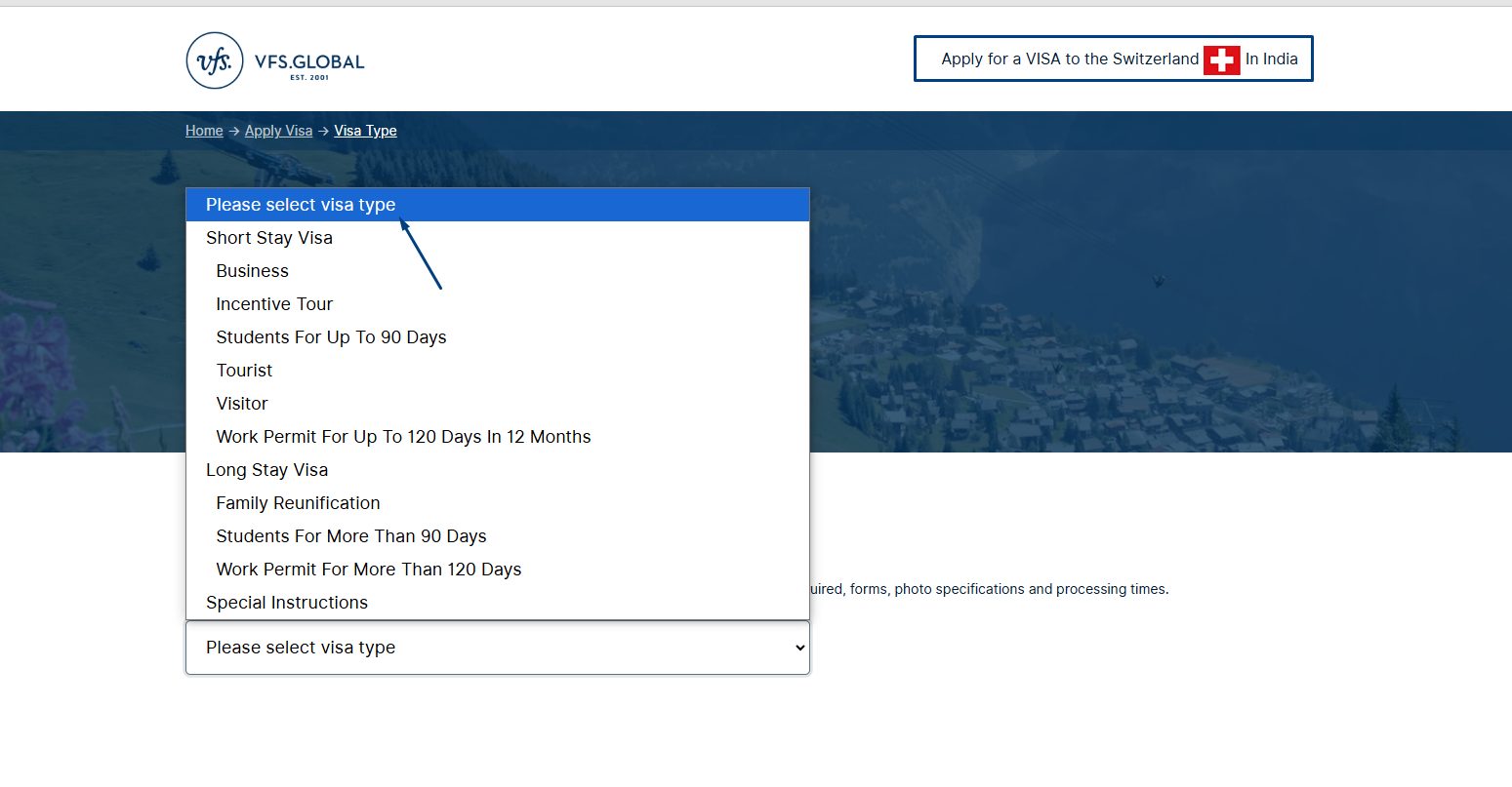 choose the appropriate visa type