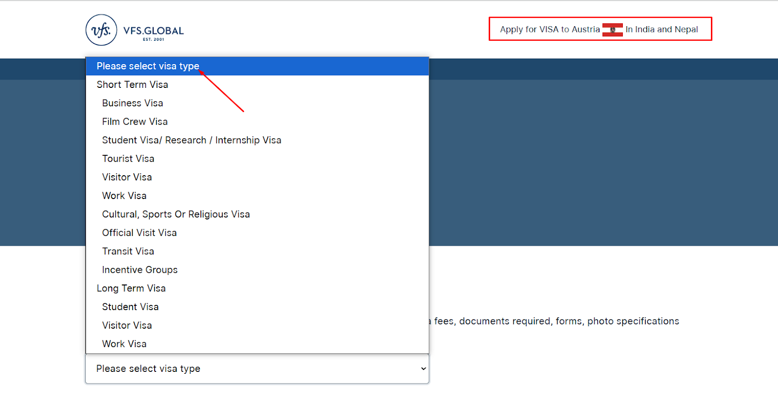 Choose the Exact Visa Type