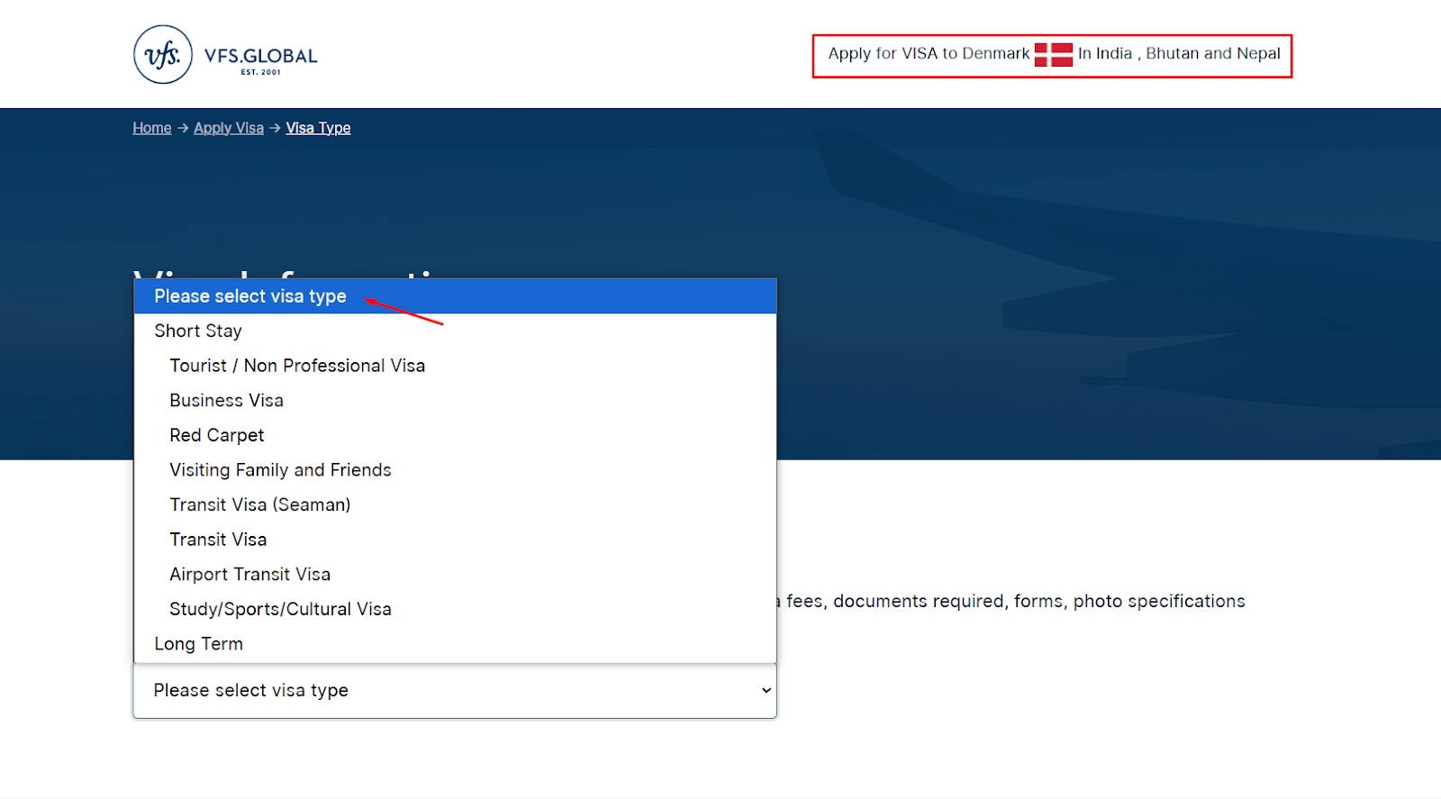 Determine Visa Type