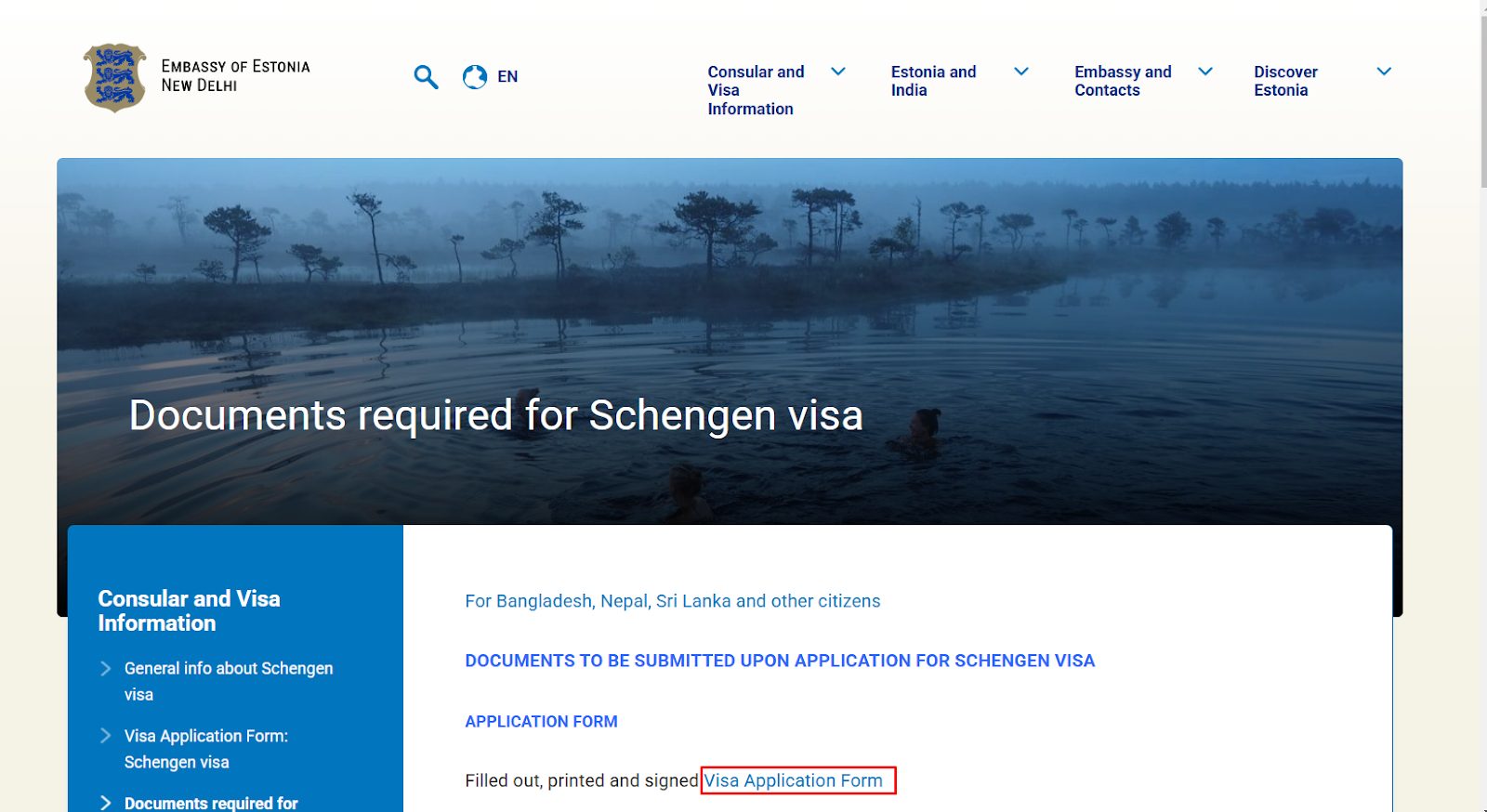 visa application form