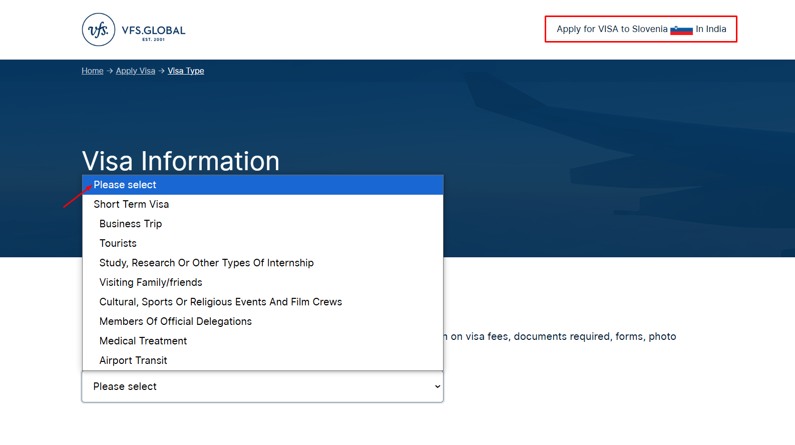 Determine Visa Type