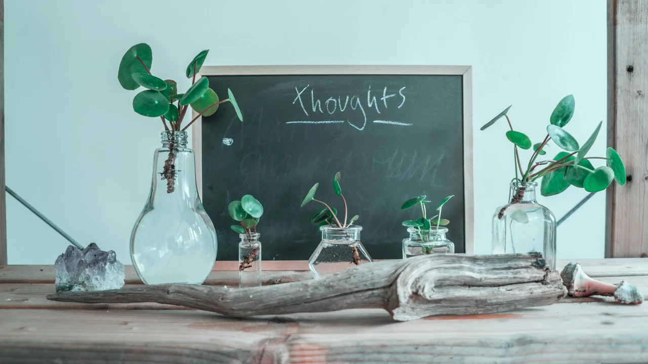 A decorative indoor setup featuring a small chalkboard with the word